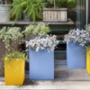 Vaso Base Pot
