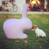 Sedia Rabbit