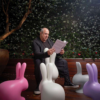 Sedia Rabbit