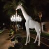 Giraffe In Love - immagine 5