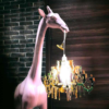 Giraffe In Love - immagine 4